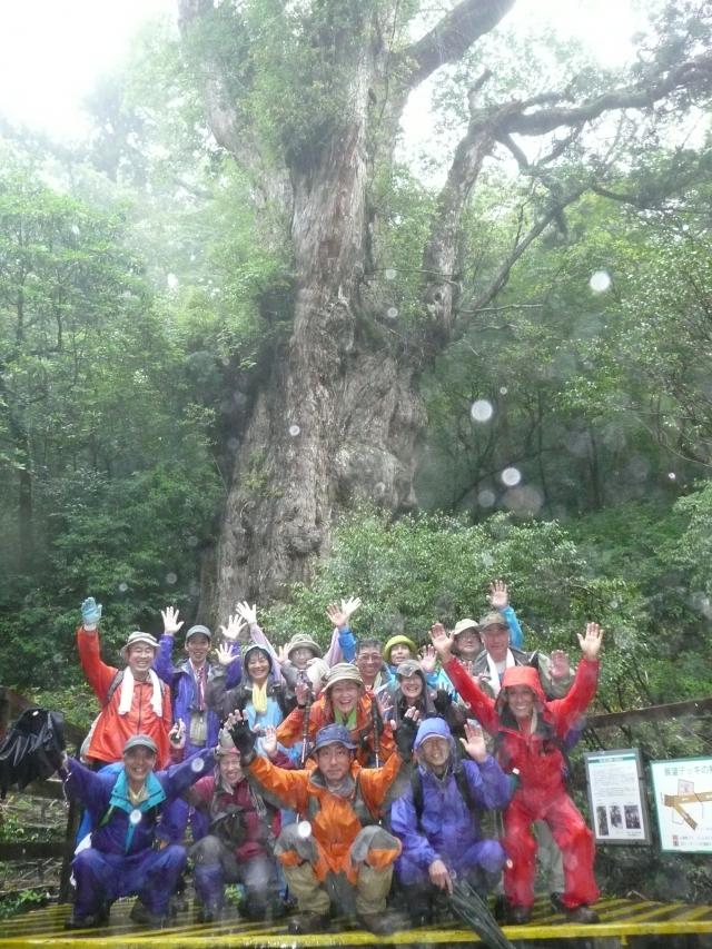 2010.06.12.屋久島　縄文杉